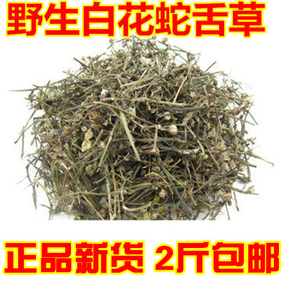 中藥材 白花蛇舌草 野生白花蛇草 舌草 有半枝蓮鐵樹葉2斤包郵