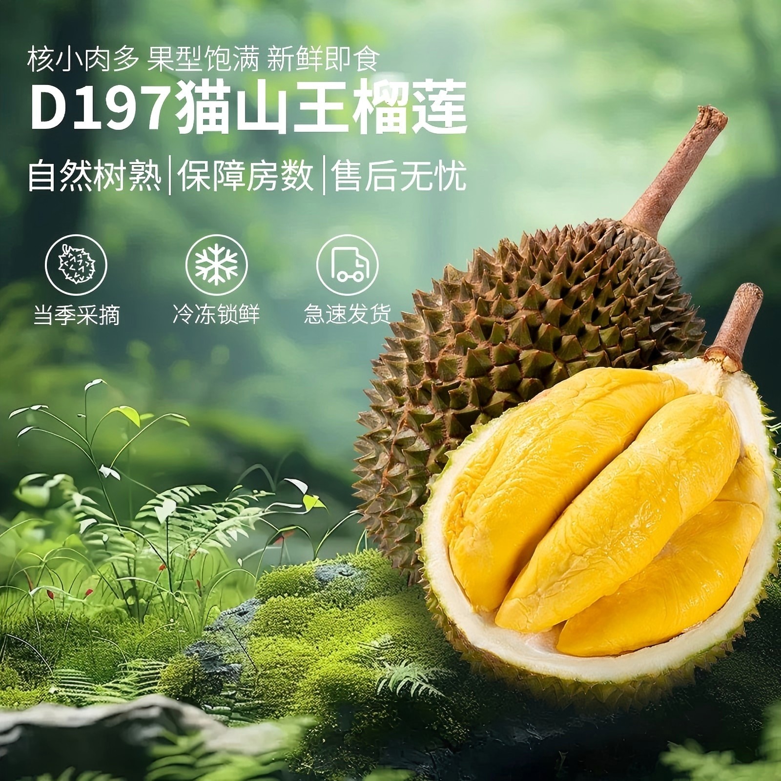 马来西亚猫山王D197榴莲双A果精选保5房进口高端水果顺丰液氮冷冻图片