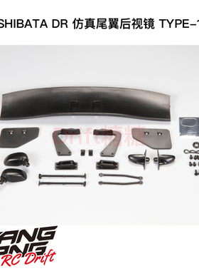 DR-WING01 SHIBATA 1/10 RC漂移车壳 DR 仿真尾翼后视镜 TYPE-1