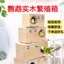 实木鹦鹉繁殖箱保暖鸟类孵化器虎皮牡丹玄凤小太阳鸟用保温鸟窝