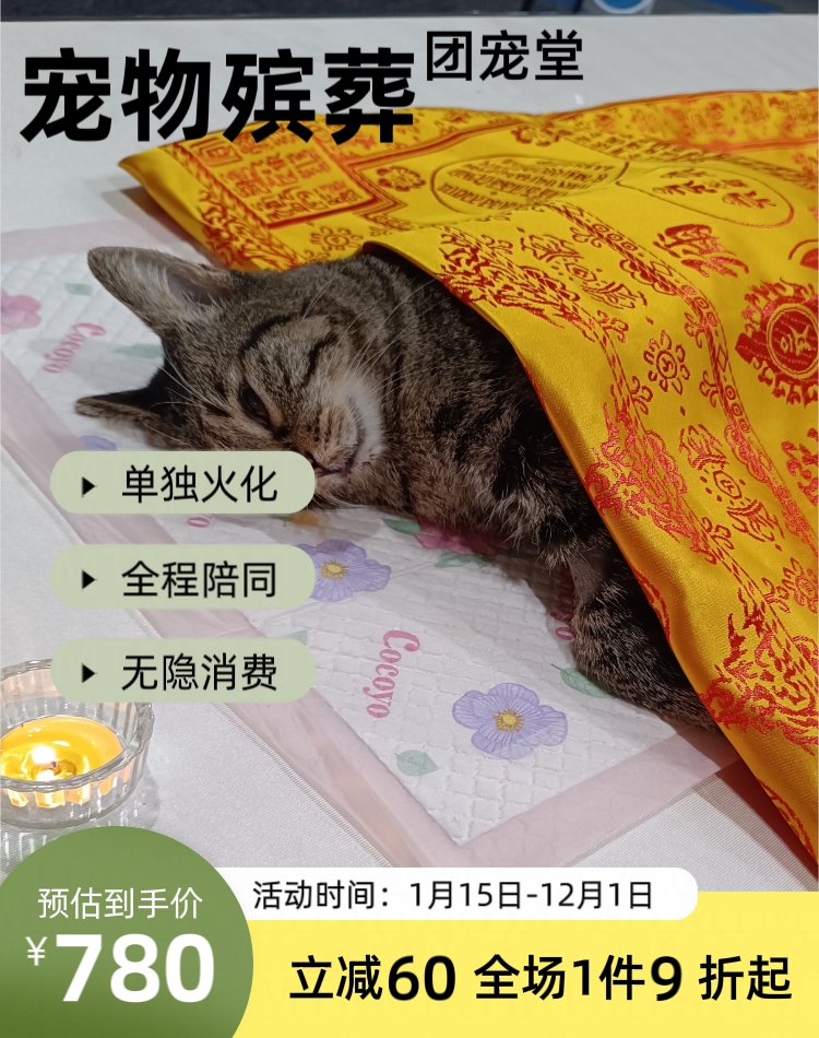 宠物火化猫咪狗狗动物殡葬火葬善终安乐服务24小时