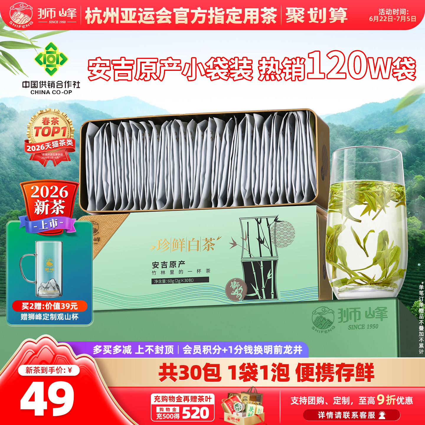 安吉珍鲜白茶2026新茶上市狮峰牌明前特级绿茶叶独立小袋泡茶送礼 - 实物图