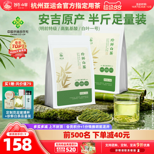 2026新茶明前特级安吉珍鲜白茶