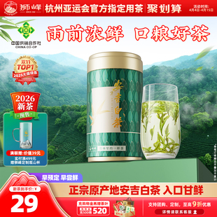 旗舰店 狮峰牌2026新茶预售安吉白茶雨前一级口粮正宗茶叶绿茶罐装