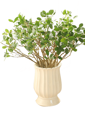 棕榈叶树枝餐厅拍摄道具仿真绿植