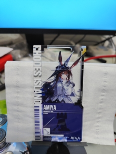 明日方舟通行证星语共愿忒斯特时装阿米娅迷迭香生日皮肤自制代餐