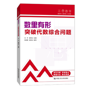 中考数学 人大附中“三思数学”数里有形:突破代数综合问题（人大附中及分校教师编写中考数学真题解析系列）