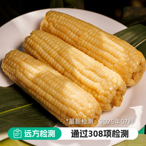 玉膳房甜糯336玉米东北正宗粘粗粮玉米新鲜糯真空装开袋即食头茬