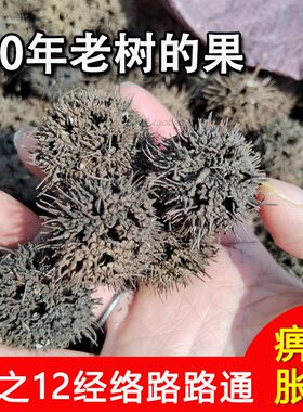 野生路路通枫树球20年老树果新货另有蕲艾丹参王不留行散装