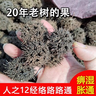 野生路路通枫树球20年老树果新货另有蕲艾丹参王不留行散装