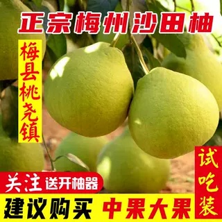 纯甜沙田柚桃尧广东梅州梅县柚子