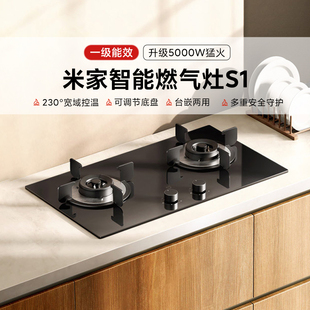 小米米家智能燃气灶S1 家用玻璃面板双灶具猛火灶台嵌两用天燃气