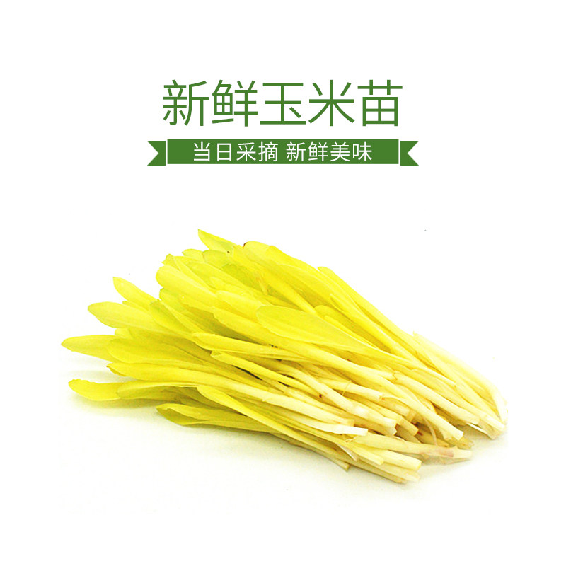 新鲜玉米苗西餐摆盘装饰可食用新鲜蔬菜酒店摆盘花草盒装芽苗菜