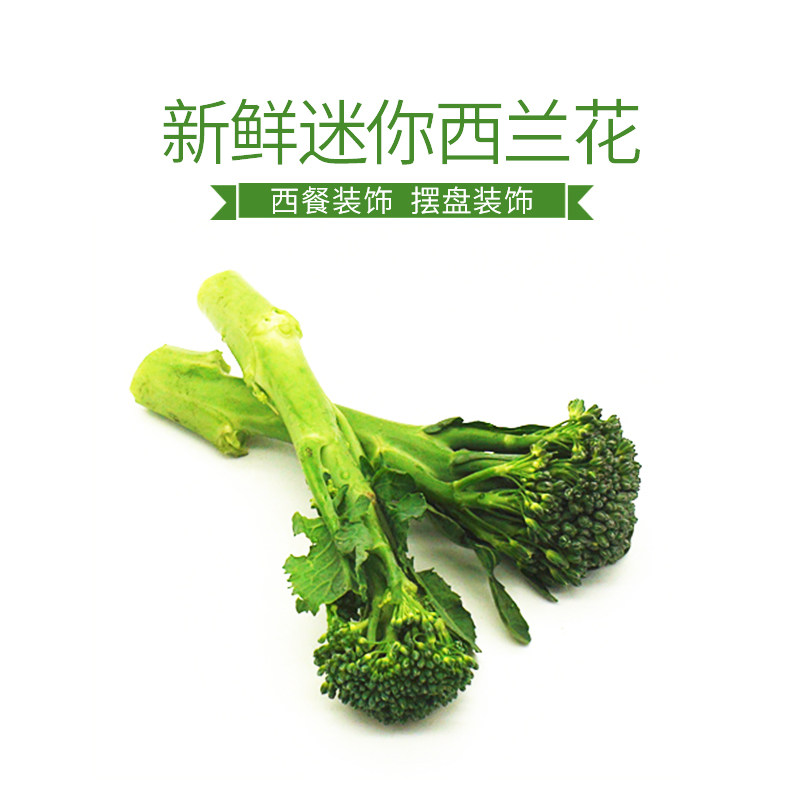 新鲜迷你小西兰花西餐摆盘装饰菜新鲜兰花苔精选青花苔蔬菜西兰苔