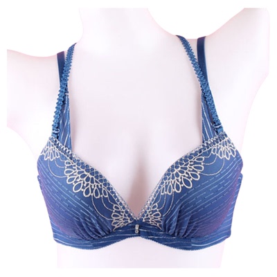 【徐10】请收藏我店96SWE014女挂脖绣花聚拢文胸罩蕾丝内衣年货节