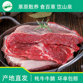 新鲜生牛肉雪花牦牛现杀耗牛肉牛腩新鲜批发 青海牛腩 溜达羊
