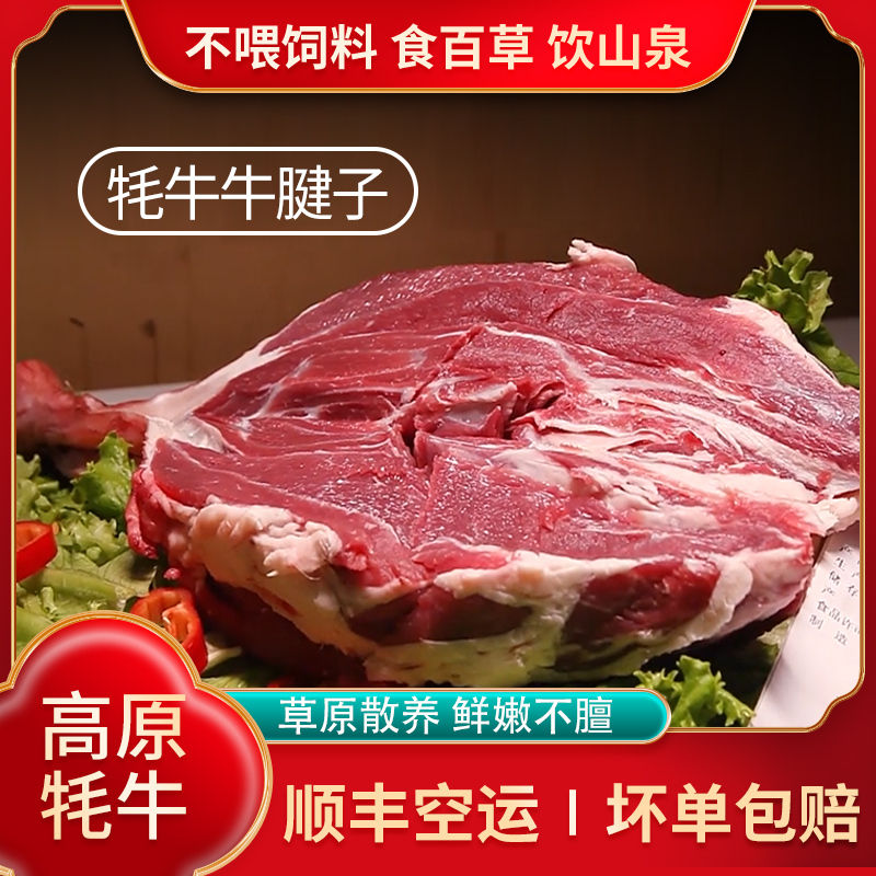 【溜达羊】青海牦牛腱子 新鲜牛腱现杀牛腱子肉散养牦牛新鲜牛键
