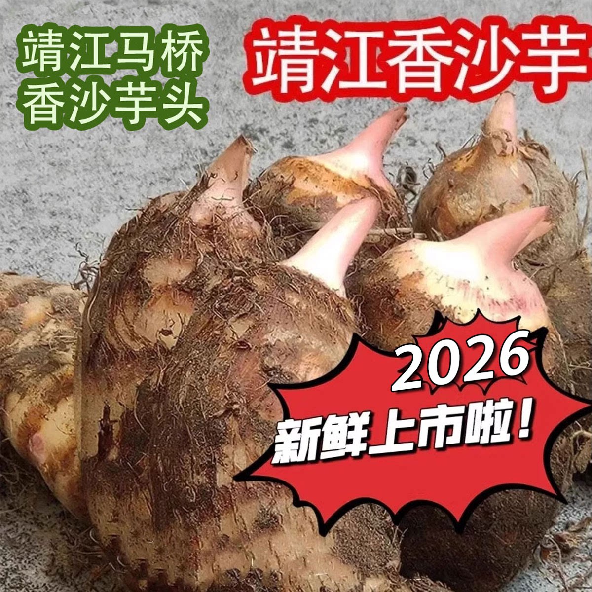 2026靖江正宗马桥香沙芋头仔芋艿农家自种新鲜现挖芋头5斤装包邮