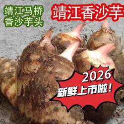 靖江香沙芋2026新马桥芋头特产仔芋艿农家自种现挖芋头5斤装包邮