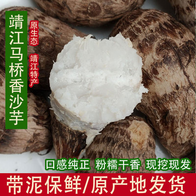 靖江马桥香沙芋正宗靖江特产芋头仔芋艿农家自种新鲜现挖优质芋头
