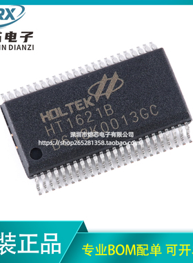 HT1621B 贴片SSOP-48 RAM映射 LCD驱动器 液晶芯片 国产/原装进口