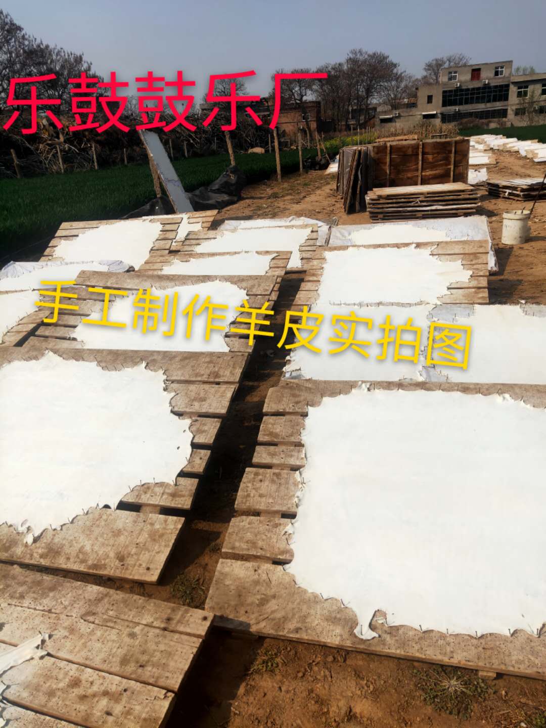 手鼓鼓皮非洲鼓羊皮鼓面