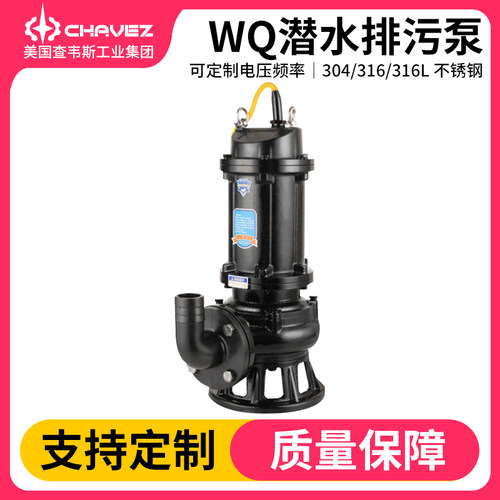 美国潜水泵查韦斯铸铁进口电动