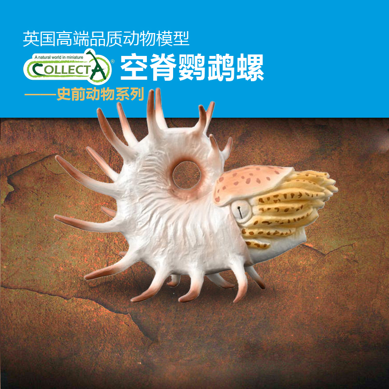 CollectA空脊鹦鹉螺动物模型