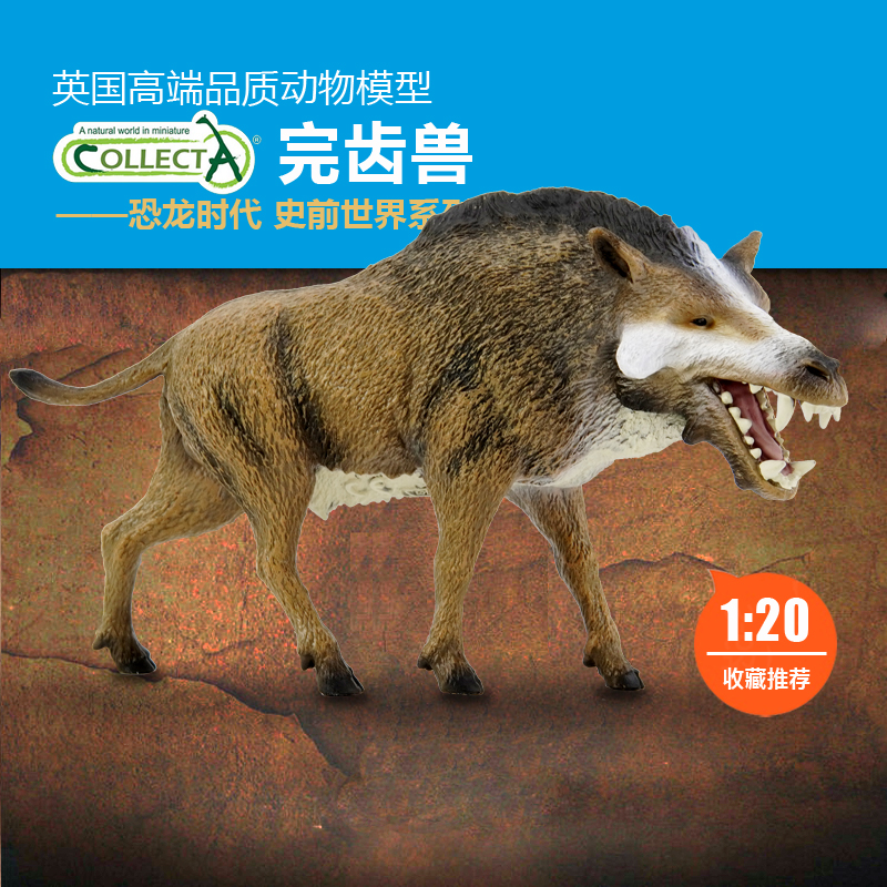 COLLECTA完齿兽玩具摆件