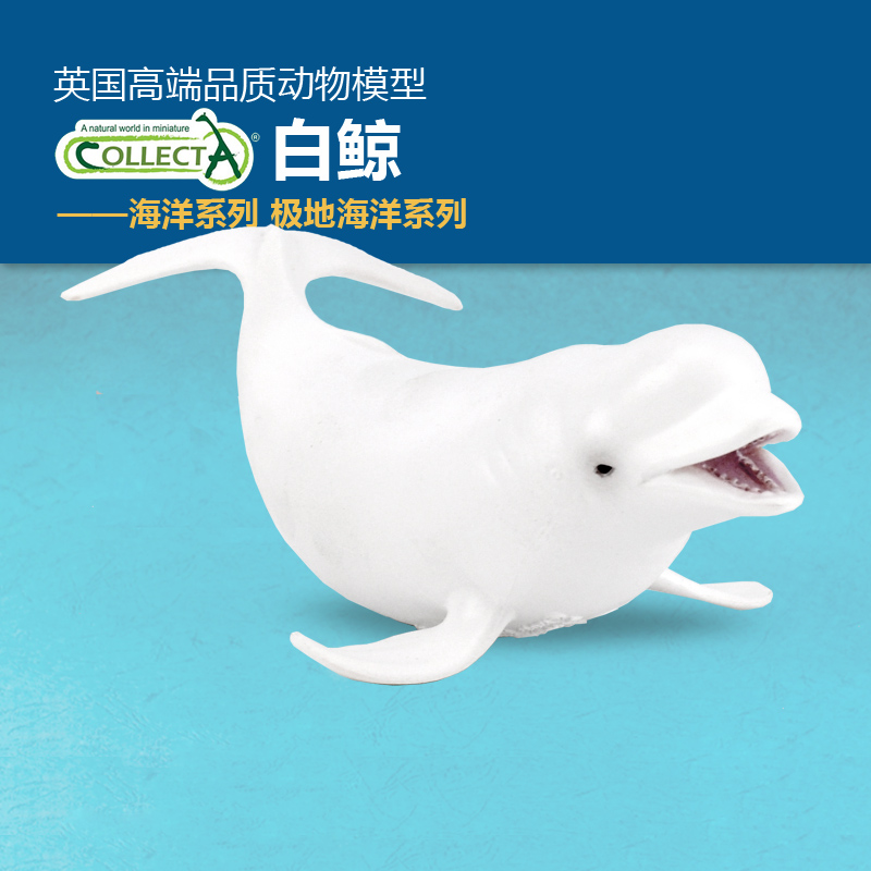 海洋鲸鱼Collecta白鲸动物模型