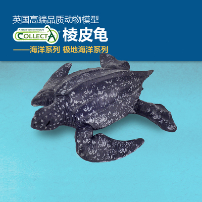 英国我你他仿真海龟认知动物模型
