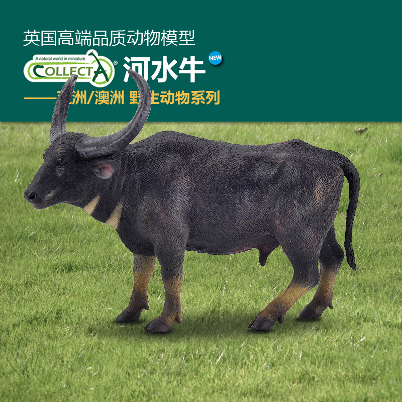 模型Collecta牛儿童玩具动物认知