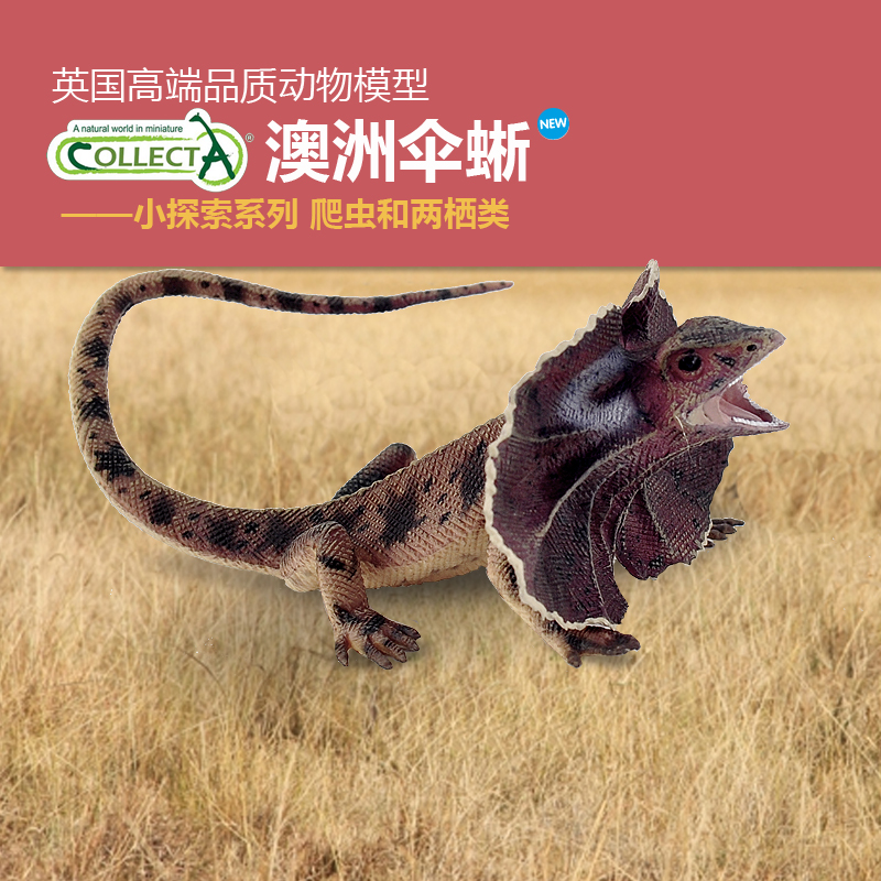 正品英国collecta澳洲伞蜥蜴