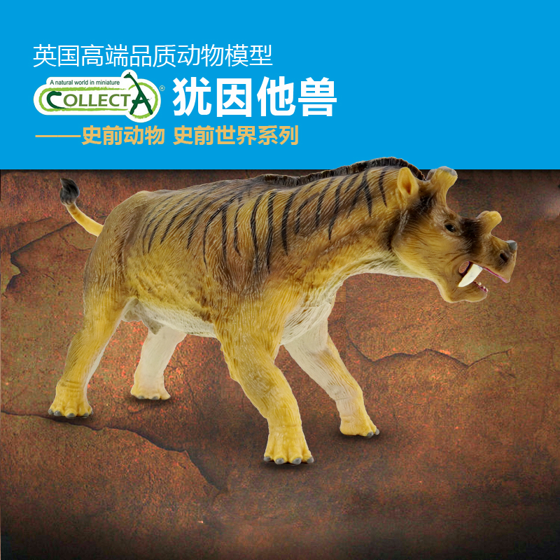 英国认知玩具摆件我你他动物模型