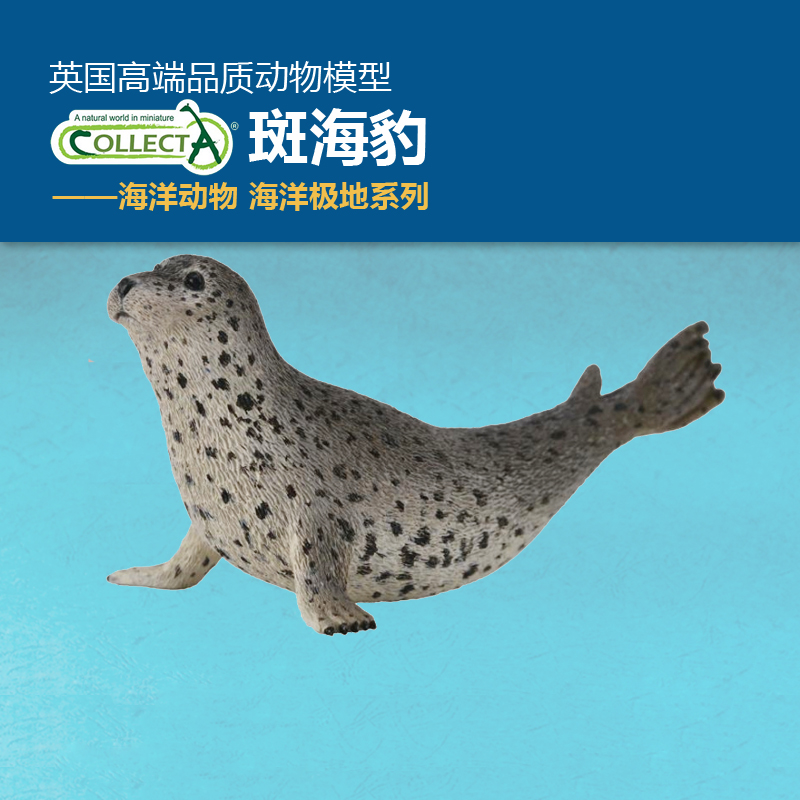 我你他斑海豹海洋动物仿真模型