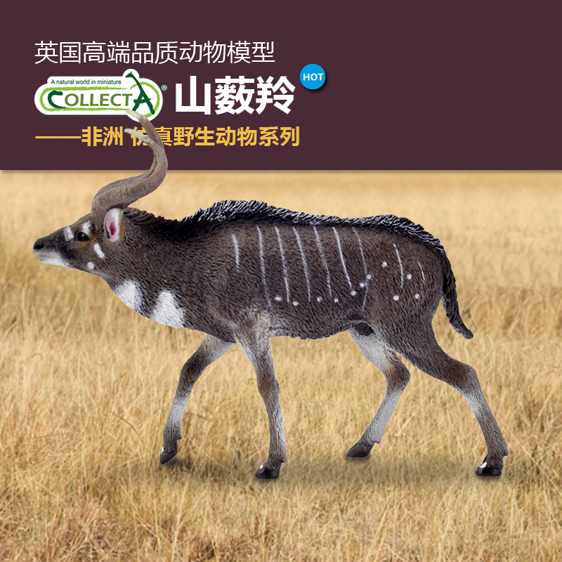 英国我你他仿真认知摆件野生动物