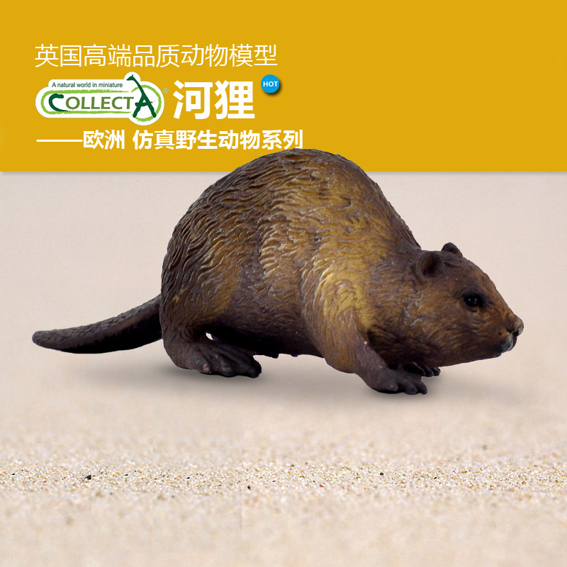 正品英国CollectA我你他 仿真动物模型 河狸 认知儿童玩具摆件