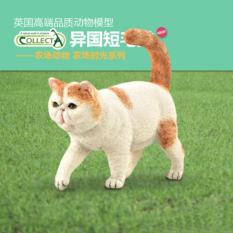 Collecta美国短毛猫仿真模型摆件