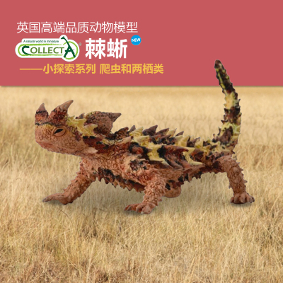 正品英国我你他棘Collecta蜥蜴