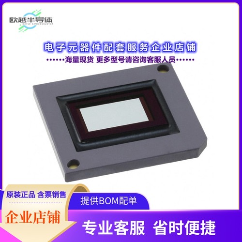 DLP800REA0FYV 【DLP 0.80-INCH WUXGA HSSI DIGITAL】