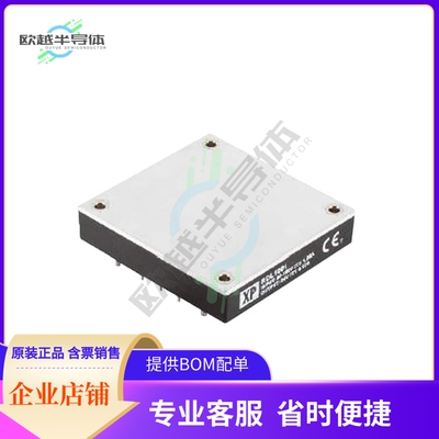 RDL100110S12【DC DC CONVERTER 12V 96W】