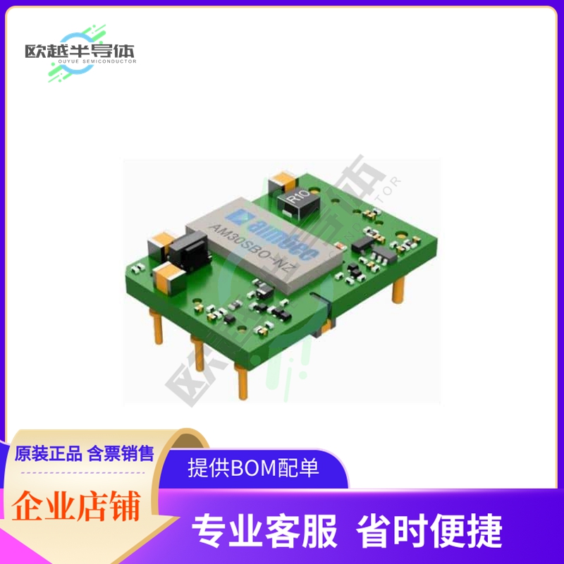 AM30SBO-4805SNZ【30W DC/DC CONVERTER】