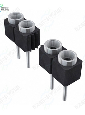 SS-110-TT-2-N[连接器CONN RCPT .100 10POS TIN T/H]