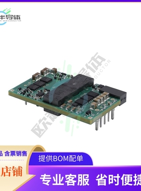 QPS3120N019N25W【DC DC CONVERTER 12V 228W】