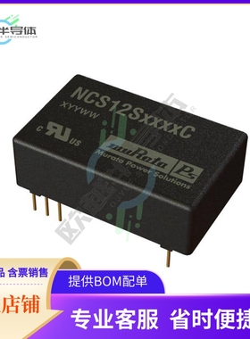 NCS12S1212C【DC DC CONVERTER 12V 12W】