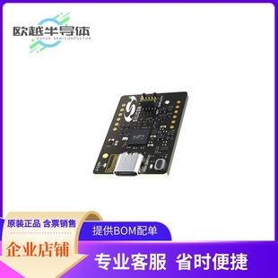 USB DBG1015A 燒錄器 DEBUGGER LINK TYPE