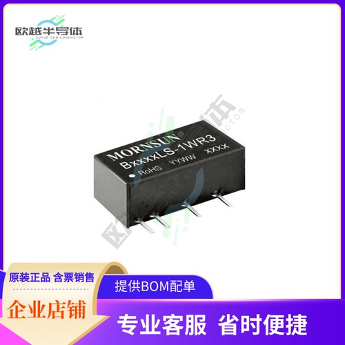 B0315LS-1WR3【DC DC CONVERTER 15V 1W】
