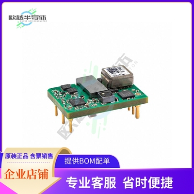 PKU4110DPI【DC DC CONVERTER 3.3V 100W】