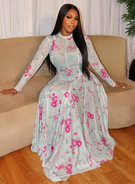 2026 new Printed round neck long sleeved party dress women