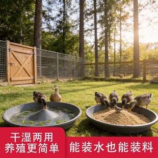 包邮鸡鸭鹅饲料盆盘喂食器散养喂料神器鸡笼鸭鹅通用聚丙烯单盆
